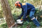 Ross Creek VICtree-cutting-services-21.jpg; ?>